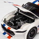 1:18 #1 Ford Mustang GT - Imagination Project Edition 8